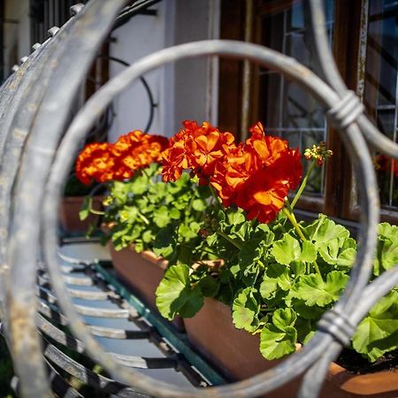 Ferienwohnung Zypresse Merano Exteriör bild