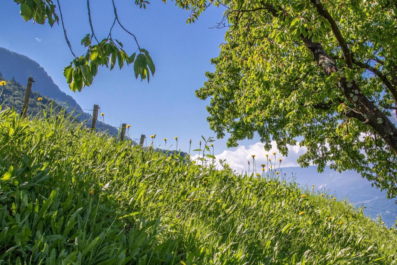 Ferienwohnung Zypresse Merano Exteriör bild